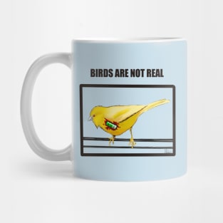 Birds Are Not Real Mug